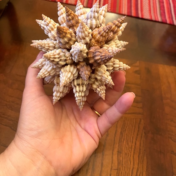 Shell sphere. Island decor 5 inch tall. - Picture 7 of 7